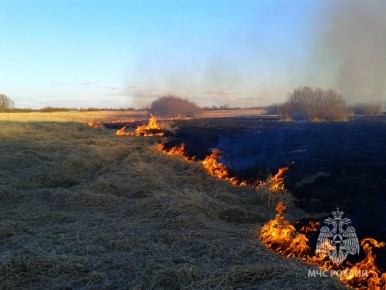 Площадь травяных пожаров за минувшие выходные составила 1,7 гектаров