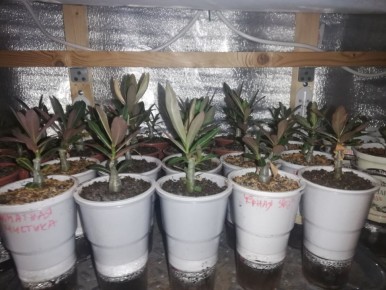 ��� ���� � ����� ������ �� ������ ���������: ������� ��������� �����