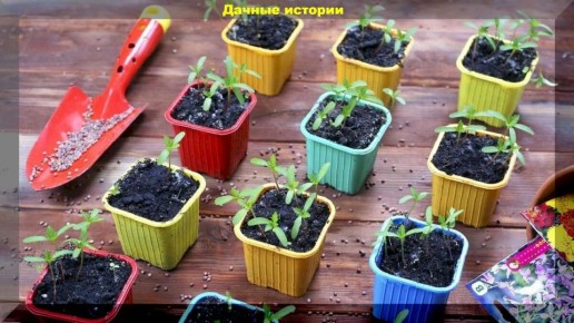 ��� ��������� ��������� �� ����������: 10 �������� � ������� �� ���������