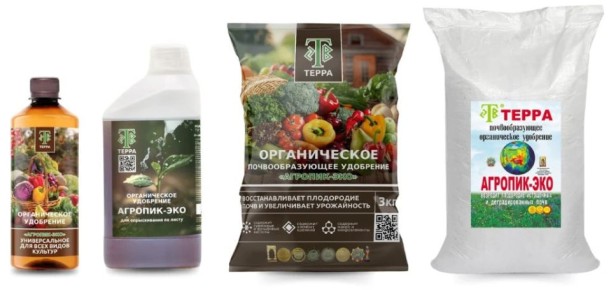 ������������ ������������� ������������ ��������� ������� ���������� �������� � ������