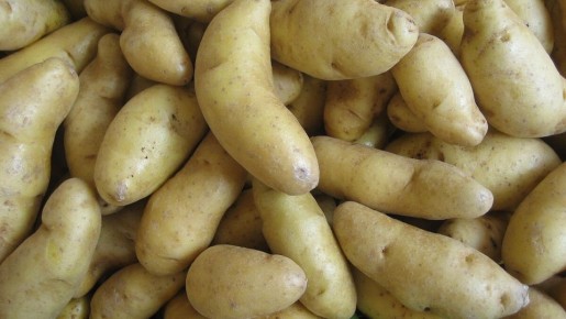 ��� ��������� �������� ���������: �������� ������