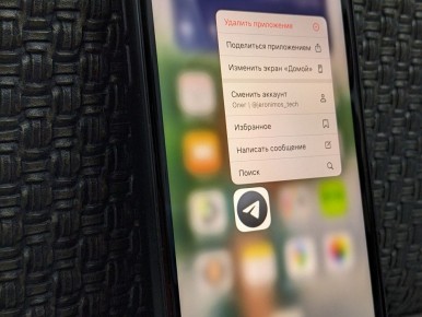 �������� � ������������: ������������ �� ����������� � �������� ������� � ��