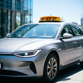 ���������� ������ �����������, ��������������� ����������� ����������� � ����� �����