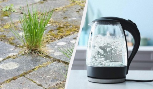 ��� ���������� �� �������� ����� ������� � ������� �������� �����