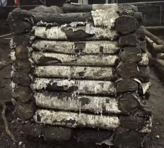 ������� XII-XIII ����� � ��������� ������ ����� � ������� ���������