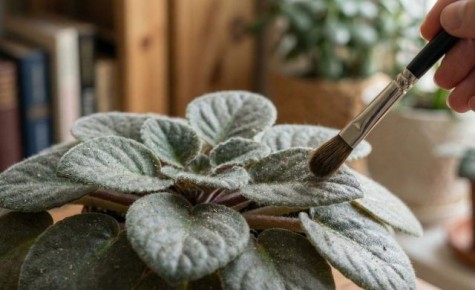 ���� �� ���������� ���������� � ��������� ��������: ������� ������