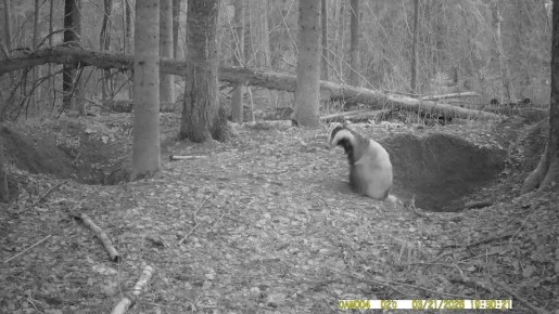 ������������ ������� ���������� ������ ��������