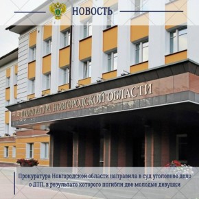 Прокуратура Новгородской области направила в суд уголовное дело в отношении 20-летнего местного жителя