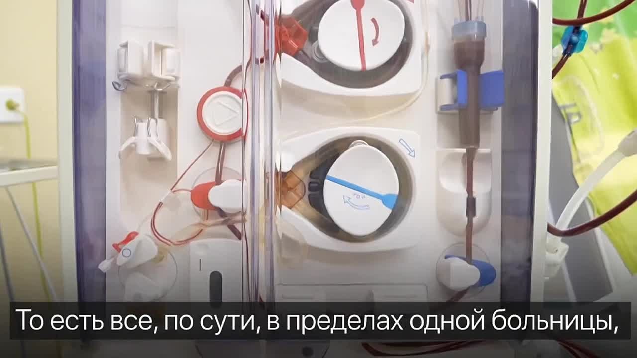 Сегодня во всём мире празднуют День нефролога – врача, который лечит болезни почек