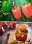 Как сделать маринованный перец по монастырским рецептам
