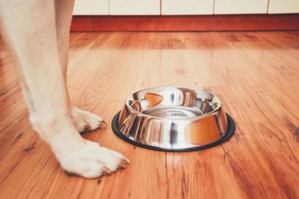 ������� ������������: ������� �������� ��� �����, � ������� ����� ����� ������� �������