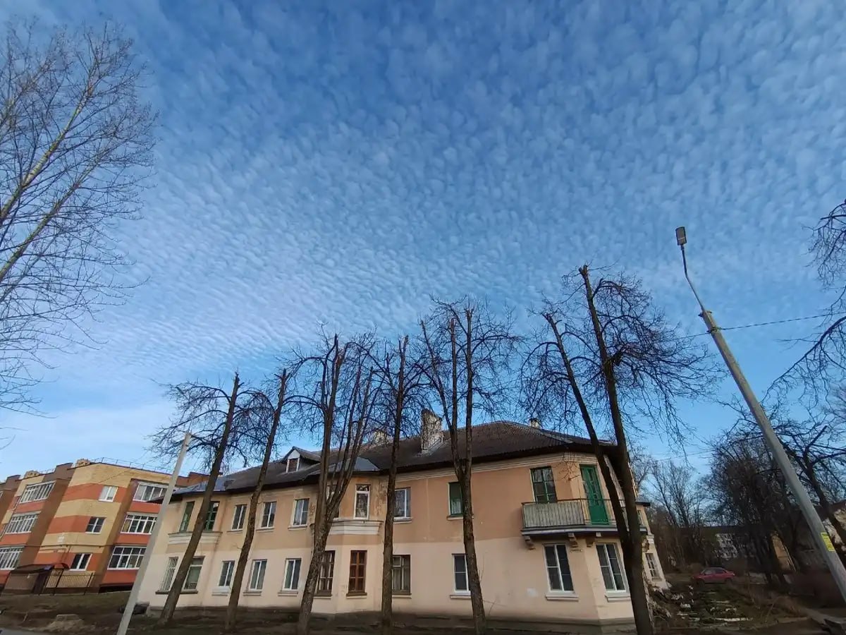Солнечный март попрощается с новгородцами тёплой, но облачной погодой, пообещали синоптики Новгородгидрометцентра