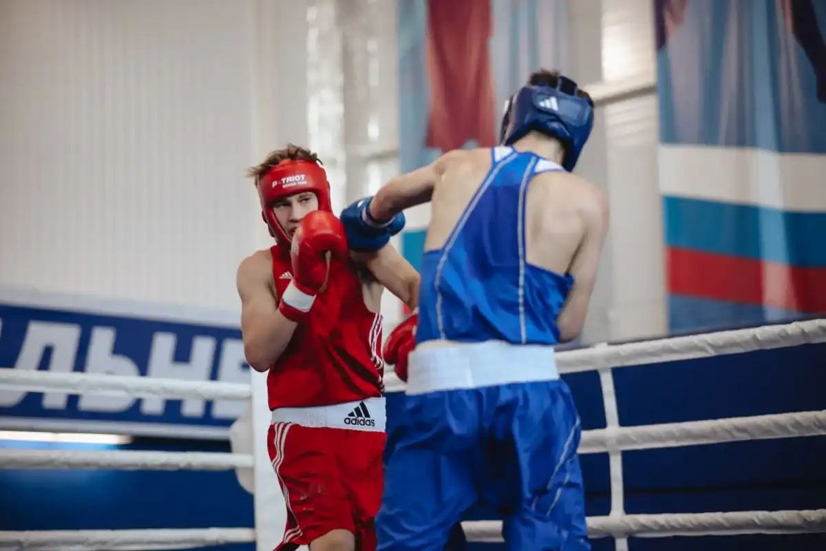 Новгородские боксёры завоевали 17 наград первенства Северо-Запада в Любытине