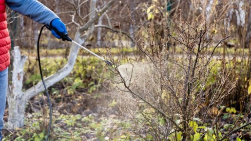 ������� ���������: ��� �������� ���� ����� ������� �����