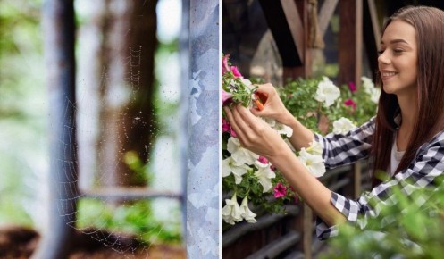 ����� ��� ������ � �������: ����������� �����, ������� ������ ��� �������