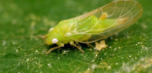 7 ���������������� ������ � ������ � ���������, ������� ������ ���������� ��������