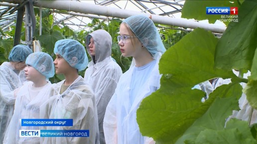 ������������ ����������� �� ����������� ������ �������� �� ��������� ���������� ��������� "���������"