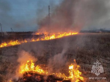 �� �������� ����� � ������������ ������� ��������� 11 �������