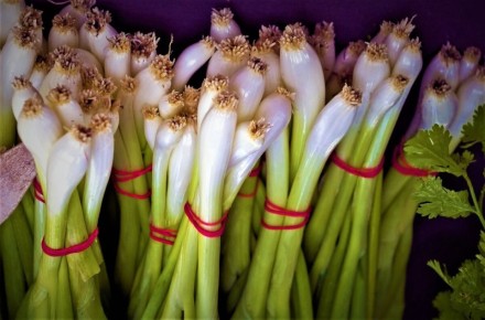 Простой способ проращивания домашнего зеленого лука без земли