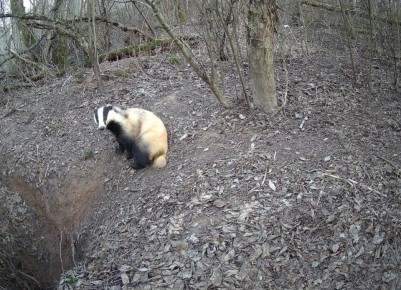 ������� ������ �������� ������ � �������� �����������