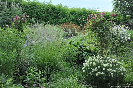 ������ ������-������: ������� � ������� � ������ ����