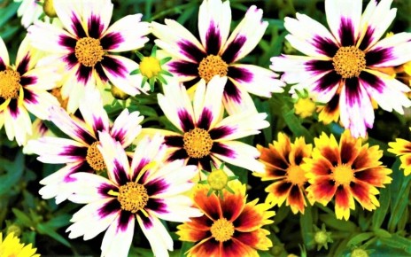 ������� ����� ��� ������ ����: ������������� ������ �������� � ����� �� �����