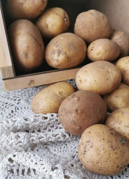 ��������� ����: ������ ���� ���� ������� ��� ��������� ����