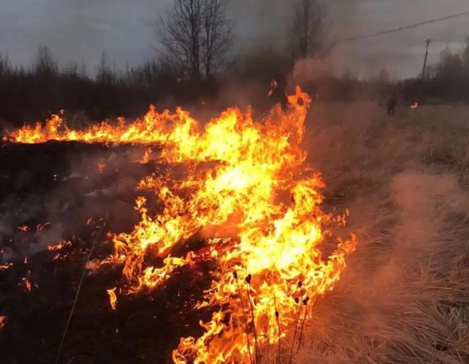 ������ ��������������� ����� ����� � ���������� ������