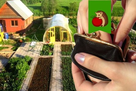 ��� ��������� ������� ������ �� ������ ���������: �� ���� �� �������