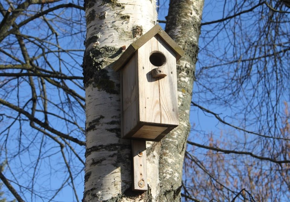 �������� ������� �������� ��������