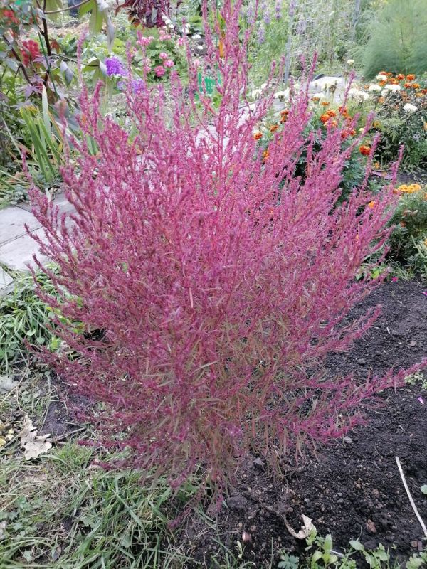 �����: ���������� �������� � ������ ������ � ����� ����