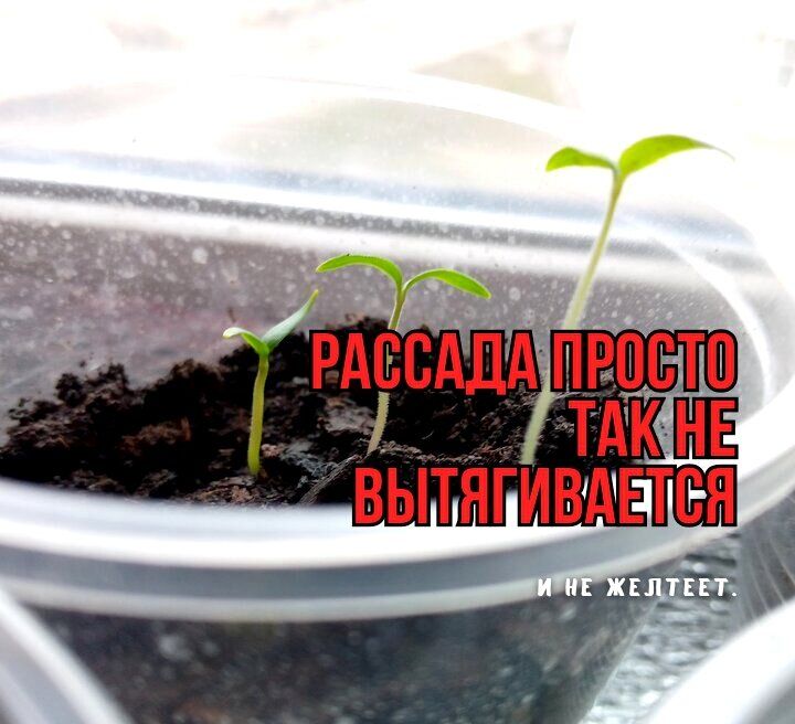 ������ ������� ������� � ������������: ��� ����������� ������, ������� ����� ������ ������