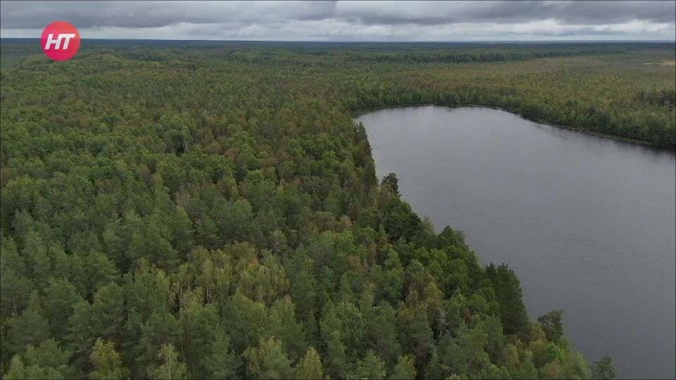 ������������ ������� ��������� ������ � ������������� ������