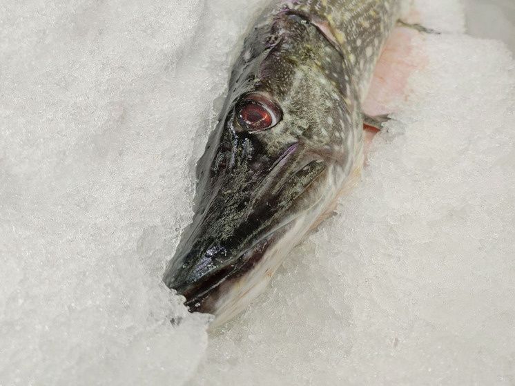 ���������� ������� ������������ ����� ���������� ����