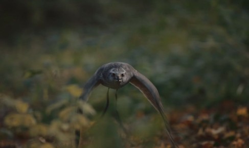 ��������� ������ ���������� ����� ������� �������� ���������