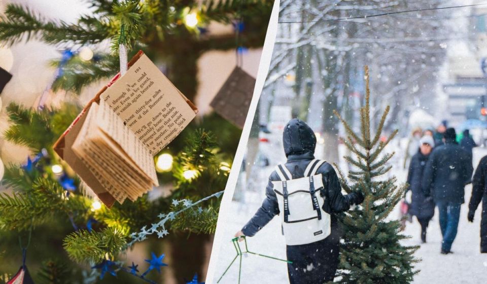 ����� ���� ������� ���������� ����: ������� � �������