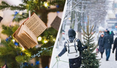 ����� ���� ������� ���������� ����: ������� � �������