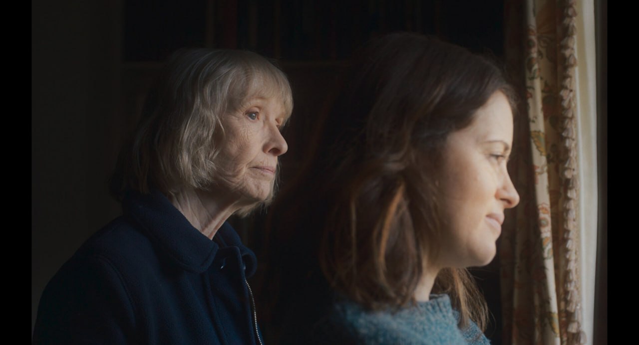 Настоящий ястреб представит фильм жителям Великого Новгорода Настоящий ястреб представит фильм жителям Великого Новгорода