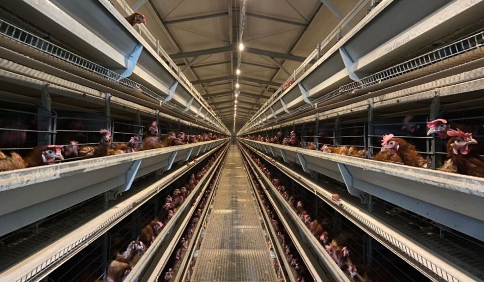 �������� ������������ ��� ����������: ����� ���� ��������� � ������