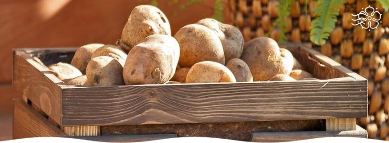 Секреты хранения корнеплодов