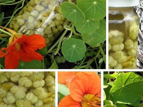 ���������: �������� ����� � �� ������������ ��������� � �����������������