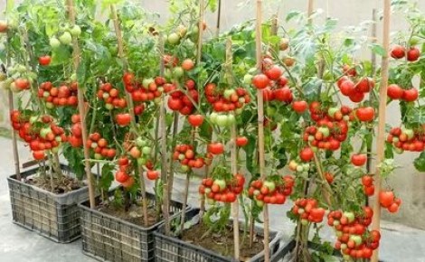 ����-�������� 2026: ��� ������� ����� ������ ����������� � ���� ������ ���������