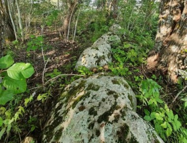 � ������� ������ ������������ ������� ����������� �������� ����