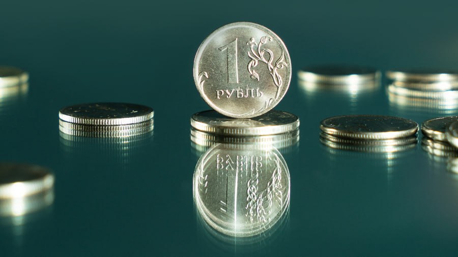 В Новгородской области прошла «финкультминутка»