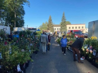 Пестовский округ примет первую весеннюю сельхозярмарку в регионе