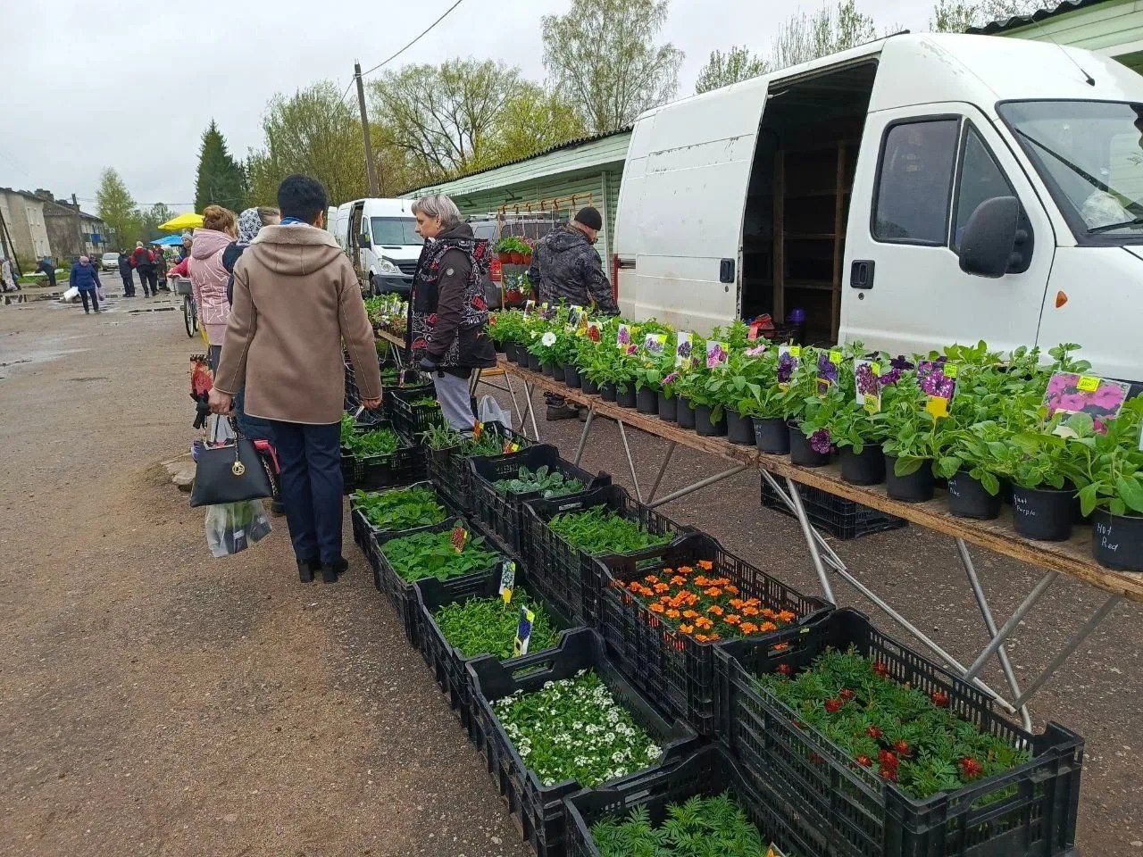 Скоро в Новгородской области откроют весенние сельскохозяйственные ярмарки Скоро в Новгородской области откроют весенние сельскохозяйственные ярмарки