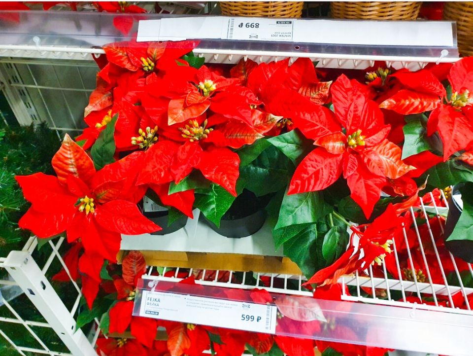 ����� ��� � ����: �������� � ����������� �������� ��� ������ ����