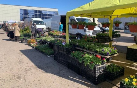 � ������ � ������������ ������� �������� �������� �������