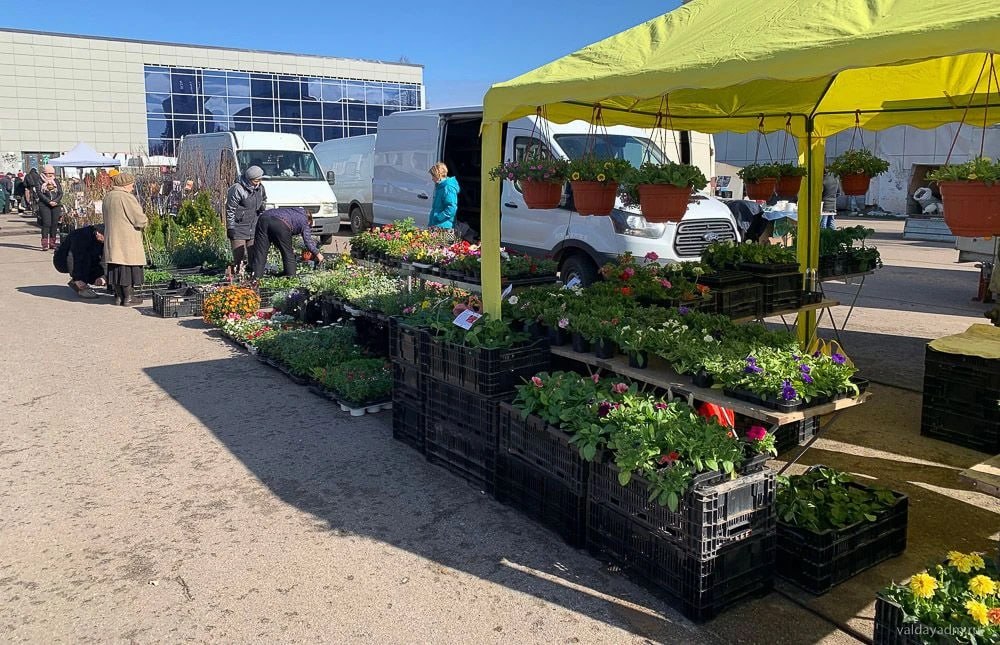 В апреле в Новгородской области начнутся весенние ярмарки