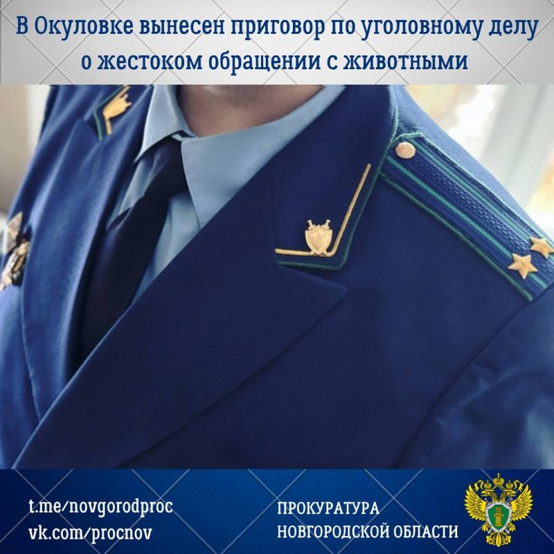 ������� ����� ��������� ������� � 16 ����������� ��������� ������ � �������� ������������� ����������� ����������� ������ ����� ������������� �������� �� ���������� ���� � ��������� 41-������� �������� ������ ������ ���������